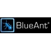Blue-Ant